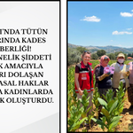 Köprübaşı’nda Tütün Tarlalarında KADES Seferberliği!