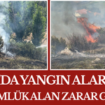 Kula'da Yangın Alarmı 30 Dönümlük Alan Zarar Gördü!