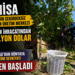 Manisa'dan Dünyaya İlk Üzüm Sevkiyatı Resmen Başladı