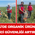 Salihli'de Organik Ürünlerde Tüketici Güvenliği Artırılıyor