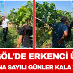 Sarıgöl'de Erkenci Üzüm Hasadına Sayılı Günler Kala Ziyaret