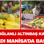 Karaoğlanlı Altınbaş Kavunu Hasadı Manisa’da Başladı
