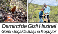 Demirci'de Gizli Hazine! Gören Bıçakla Başına Koşuyor