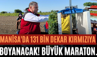 Manisa'da 131 Bin Dekar Kırmızıya Boyanacak! Büyük Maraton.