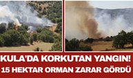 Kula'da Korkutan Yangın! 15 Hektar Orman Zarar Gördü