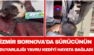 İzmir Bornova'da sürücünün duyarlılığı yavru kediyi hayata bağladı