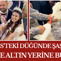 manisa