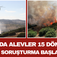 Asayiş