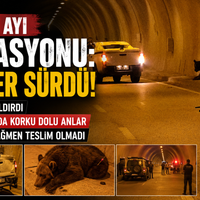 Asayiş
