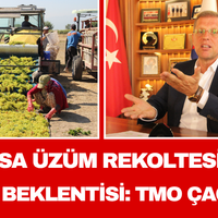Manisa