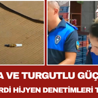 Manisa
