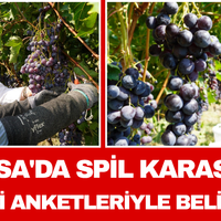 Manisa