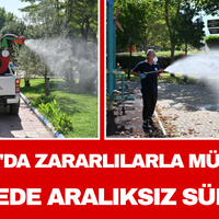Manisa