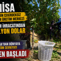 Manisa
