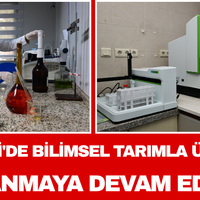 Manisa
