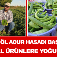 Manisa