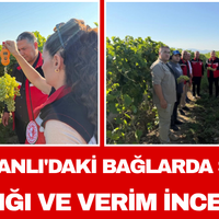 Manisa