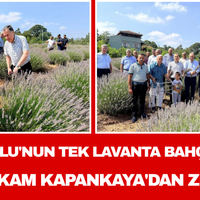 Manisa