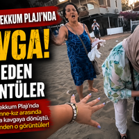 Ege