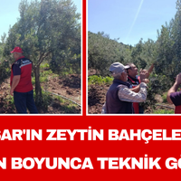 Manisa
