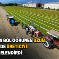 Manisa