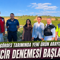 Manisa