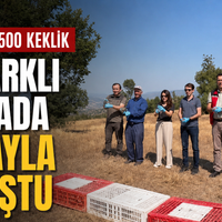 Manisa