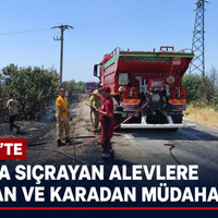 Manisa