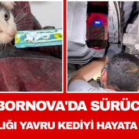 Ege