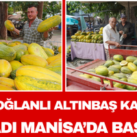 Manisa