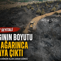 Manisa