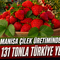 Manisa