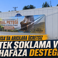 Manisa