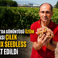 Manisa