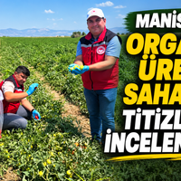 Manisa