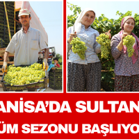 Manisa