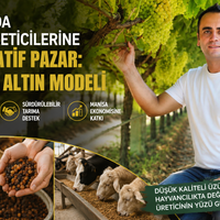 Manisa
