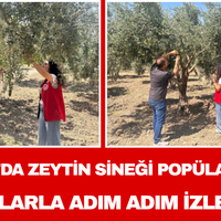 Manisa