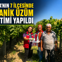 Manisa