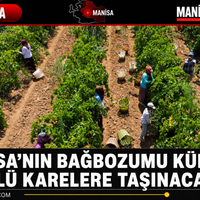 Manisa