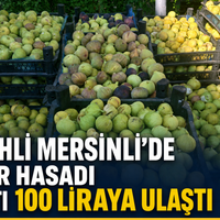 Manisa
