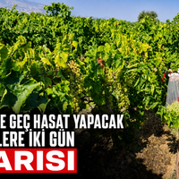 Manisa