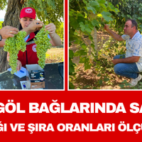 Manisa