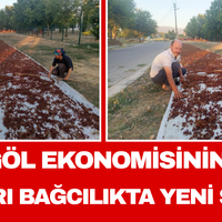 Manisa