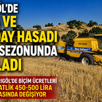 Manisa