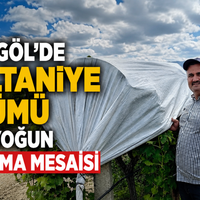 Manisa