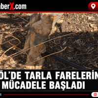 Manisa