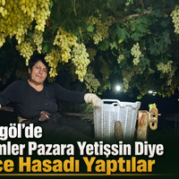 Manisa