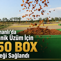 Manisa