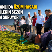 Manisa